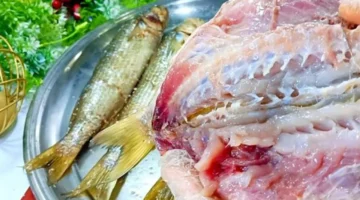 فوارق الجودة والأسعار بين الرنجة المستوردة والمحلية في كبرى سلاسل التجزئة المصرية